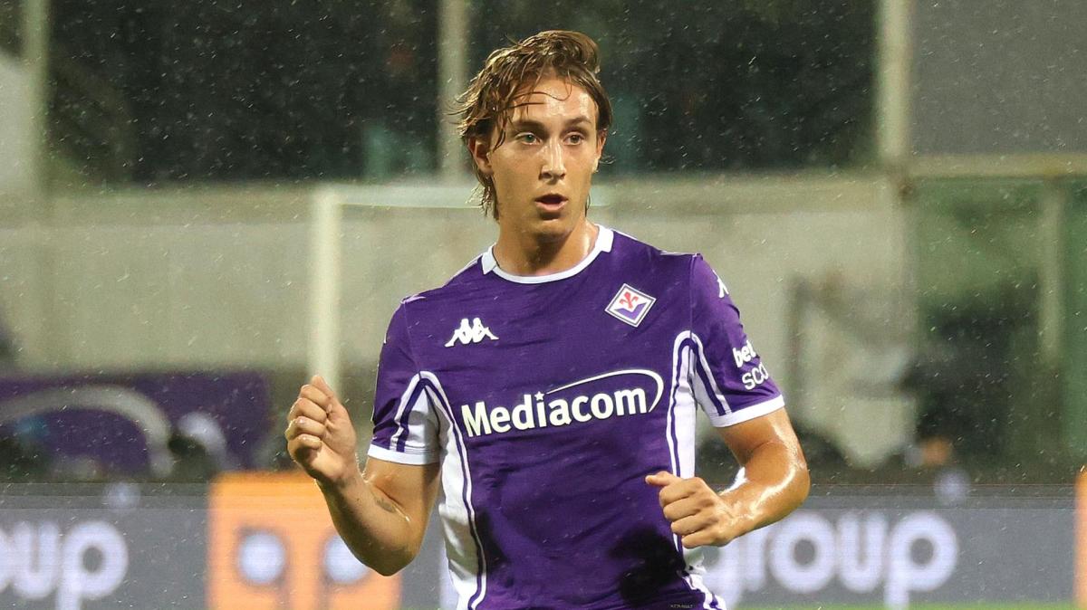 Immagine strip Primo Piano n.4