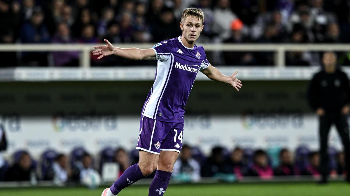 Immagine strip Primo Piano n.4