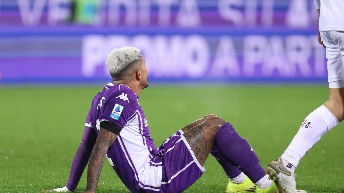 Immagine strip Primo Piano n.2