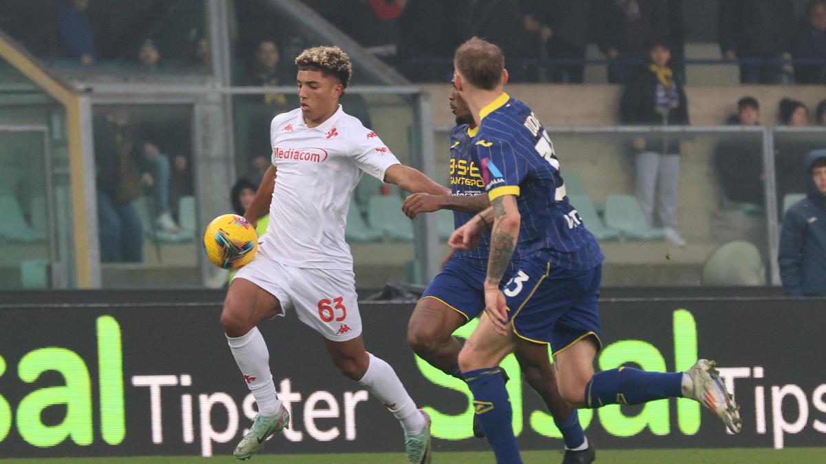 Verona-Fiorentina, ecco dati e curiosità della gara di sabato