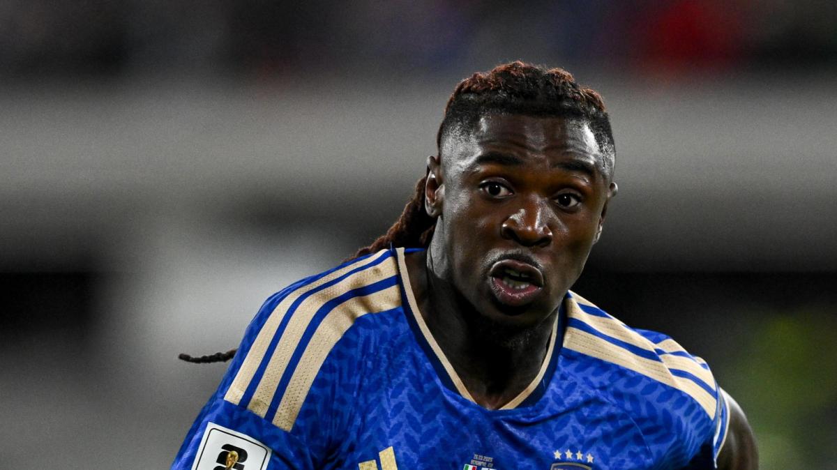 Immagine strip Primo Piano n.2