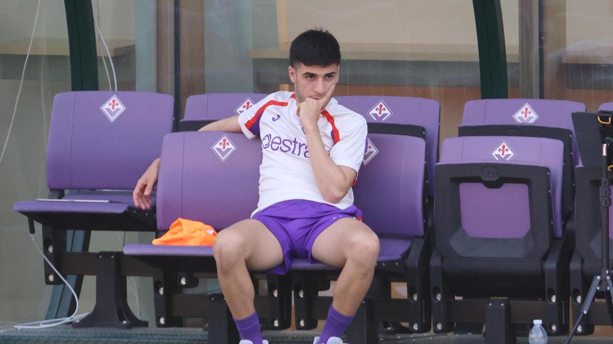 Buone notizie dal Viola Park: Parisi ricomincia a lavorare col pallone, le immagini