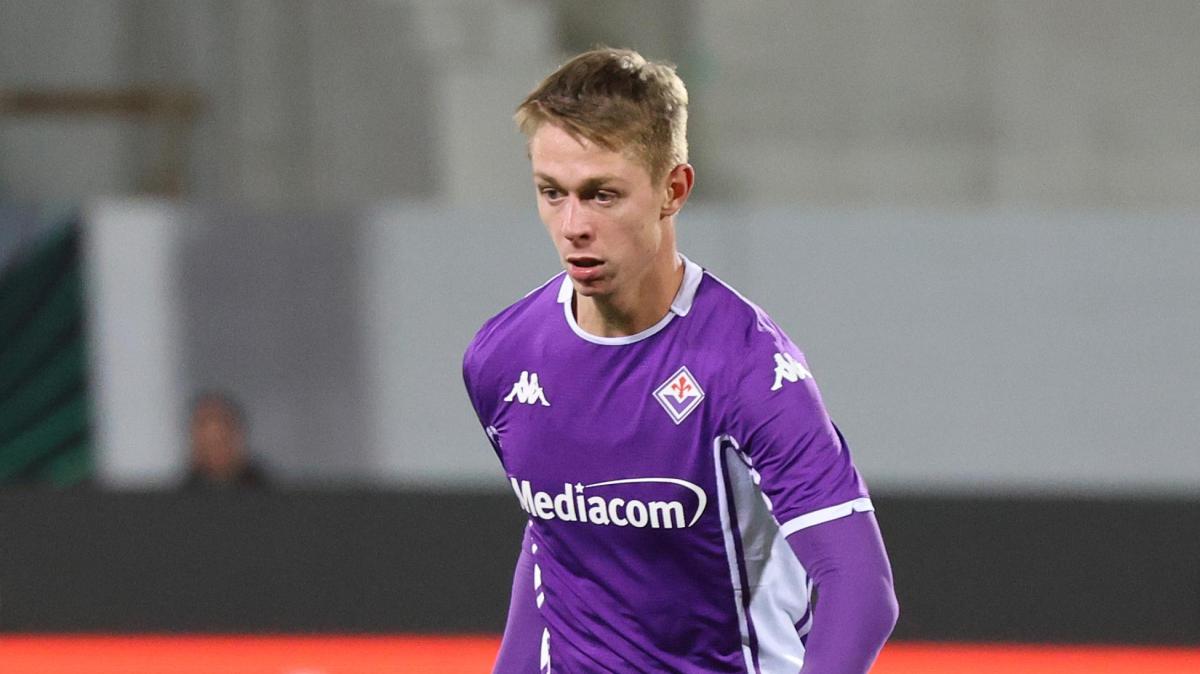 Immagine strip Primo Piano n.2