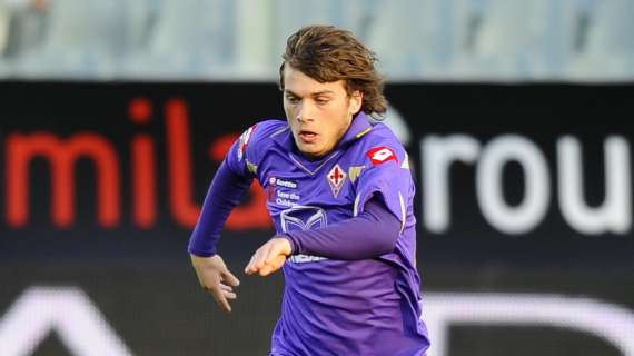 LJAJIC, Il nuovo spadino viola