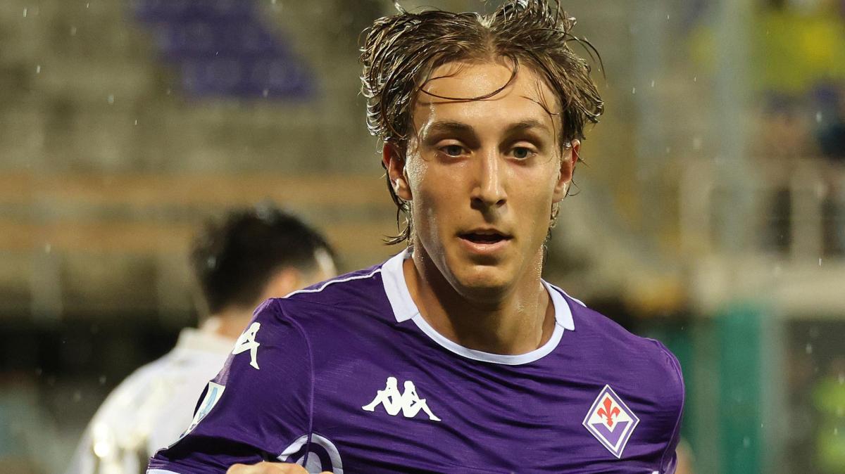 Immagine strip Primo Piano n.2