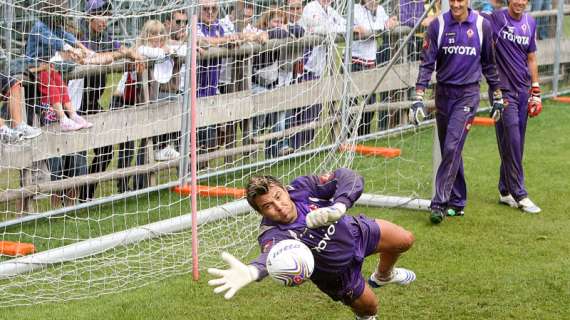 REGGINA-FIORENTINA 1-1, Miracolo di Frey