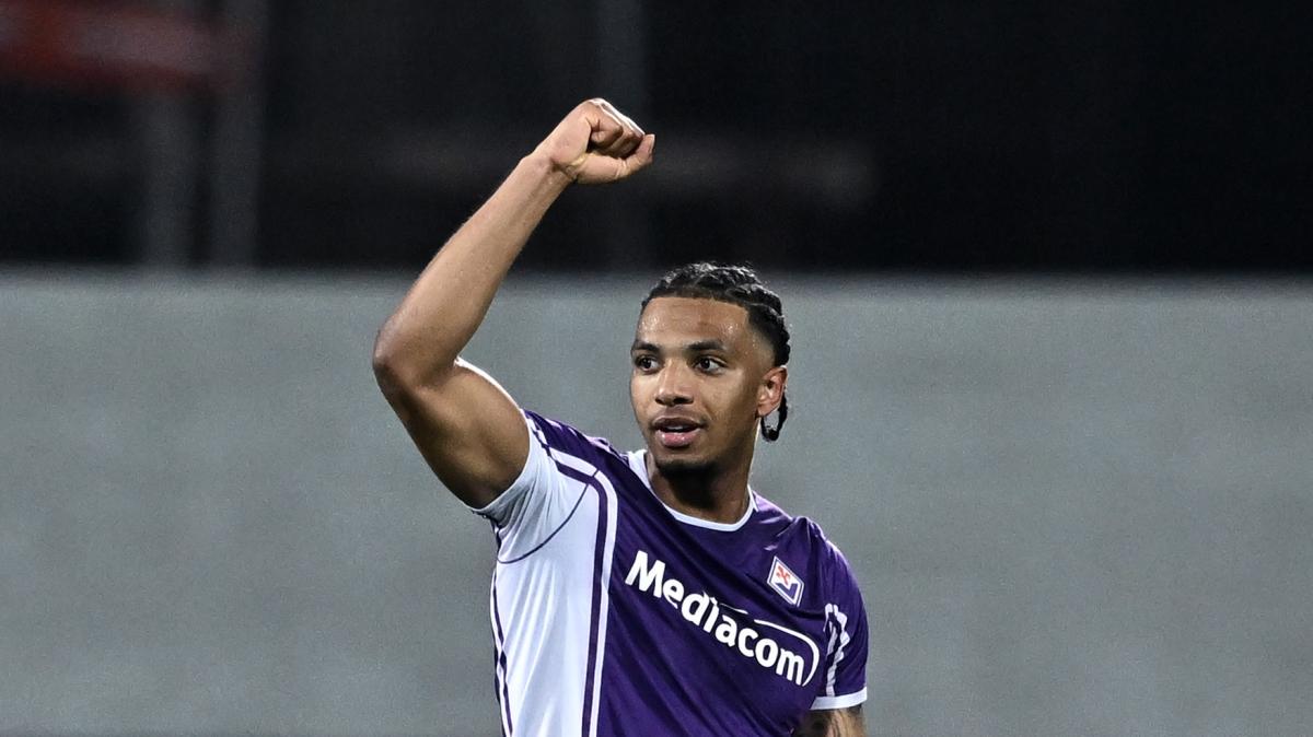 Immagine strip Primo Piano n.2