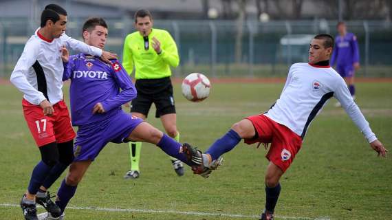 ACF, Tutte le gare del settore giovanile