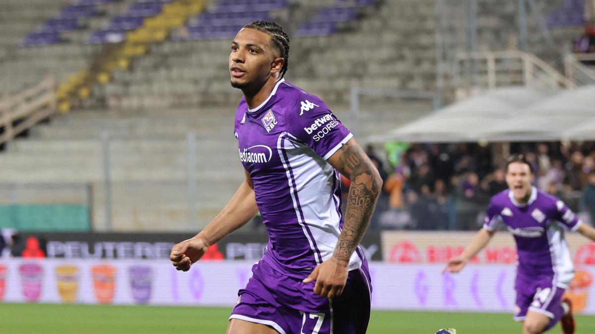 Immagine strip Primo Piano n.2