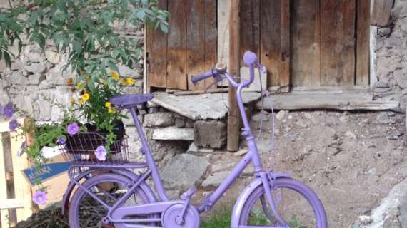 MOENA, I viola e la bicicletta portafortuna