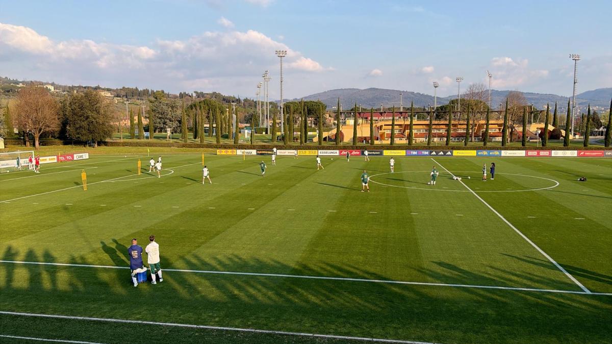 Immagine strip Primo Piano n.4