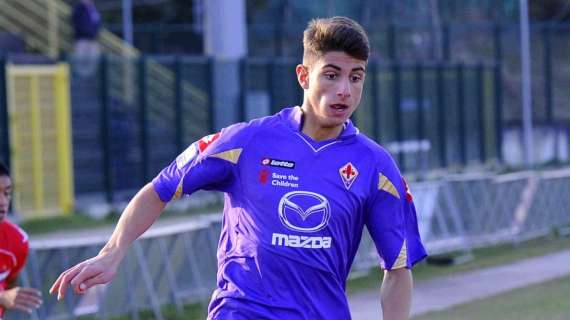 PICCINI, Storia di un viola predestinato