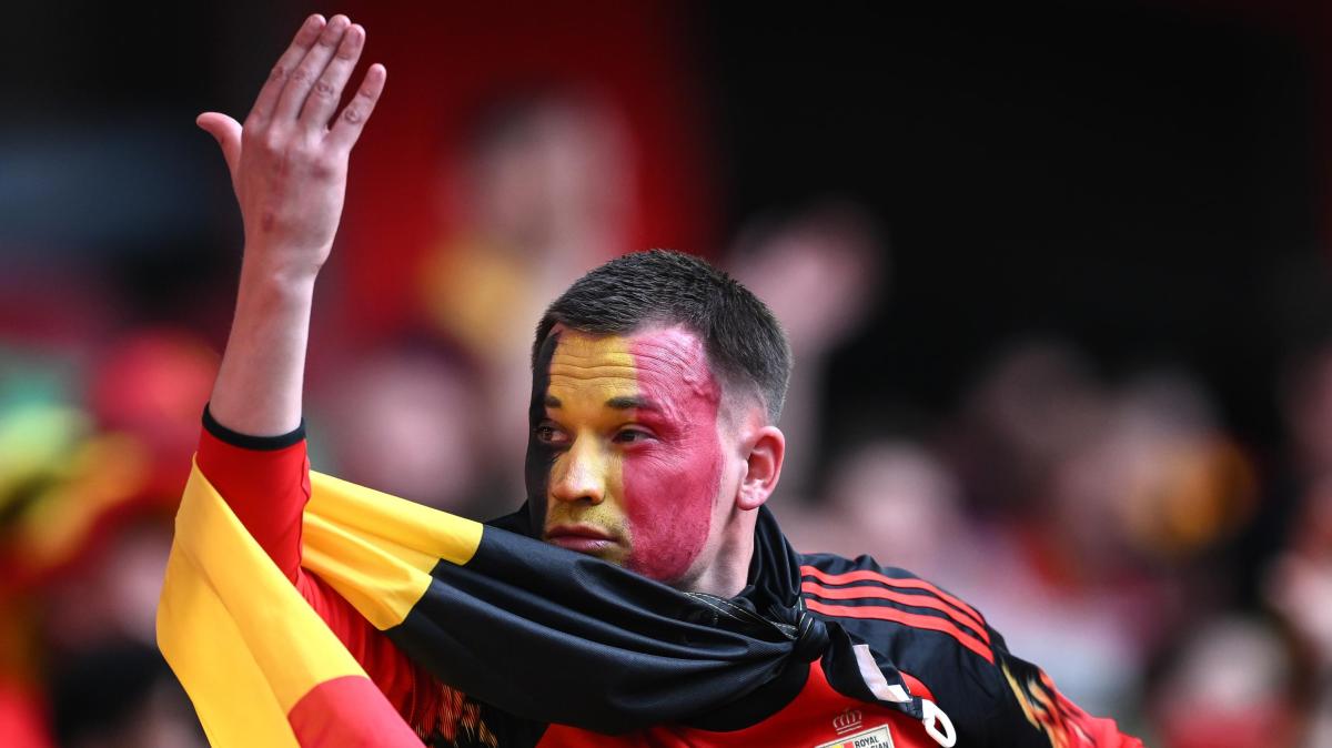 Mondiali, autogol di Hany e rete di Ashour: termina 1-1 il match tra Belgio e Egitto