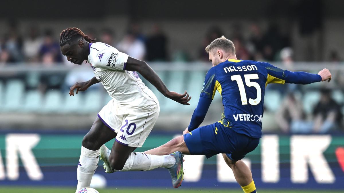 Immagine strip Primo Piano n.3