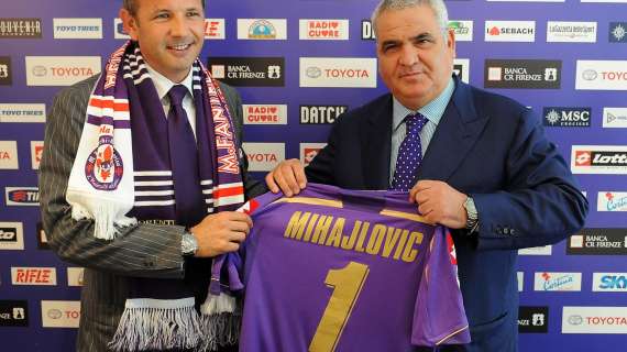 MERCATO VIOLA, Calma piatta