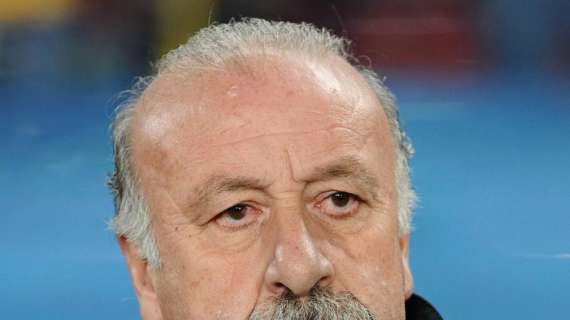 SPAGNA, Polemiche tra Barca e Del Bosque