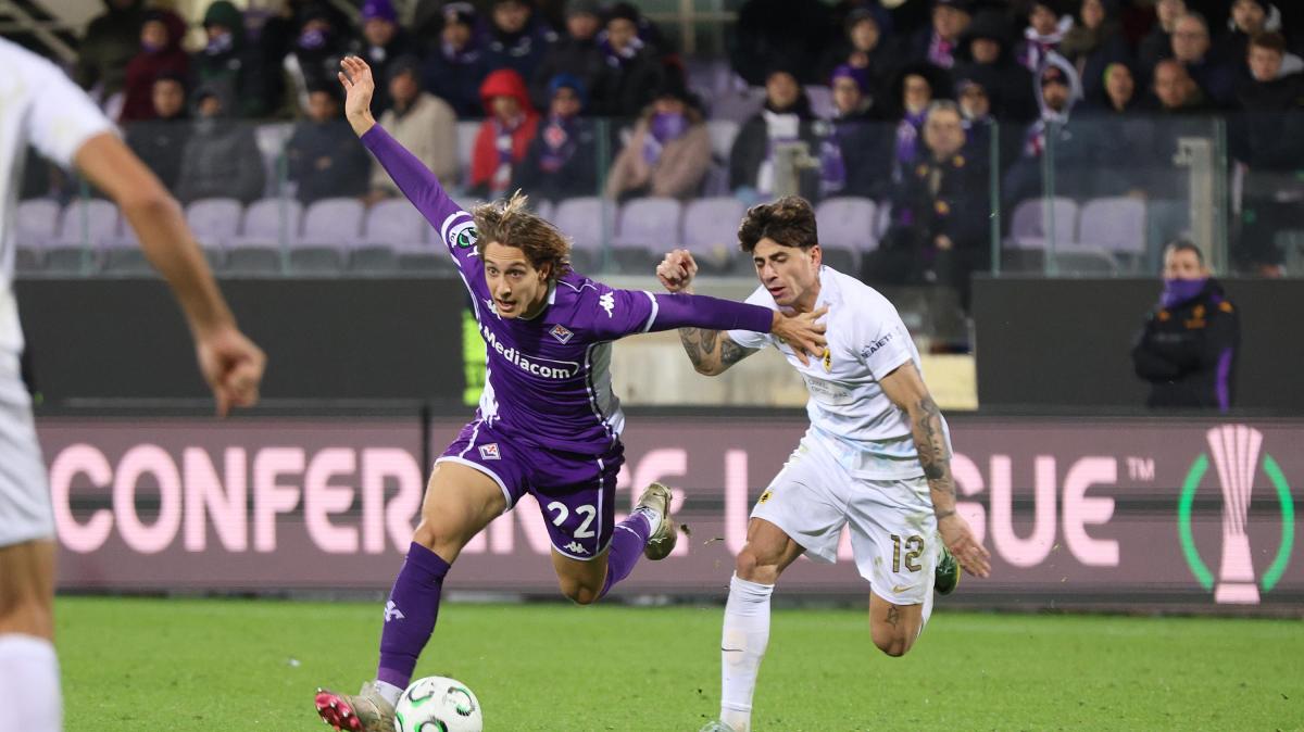 Immagine strip Primo Piano n.2