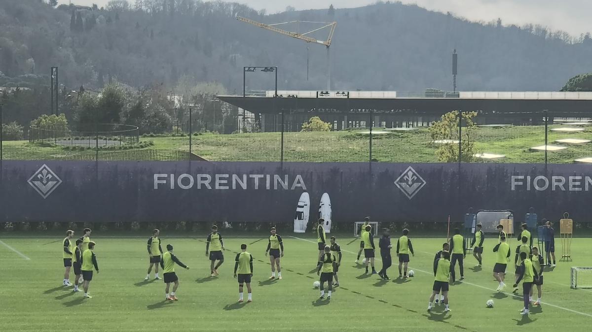 Immagine strip Primo Piano n.2