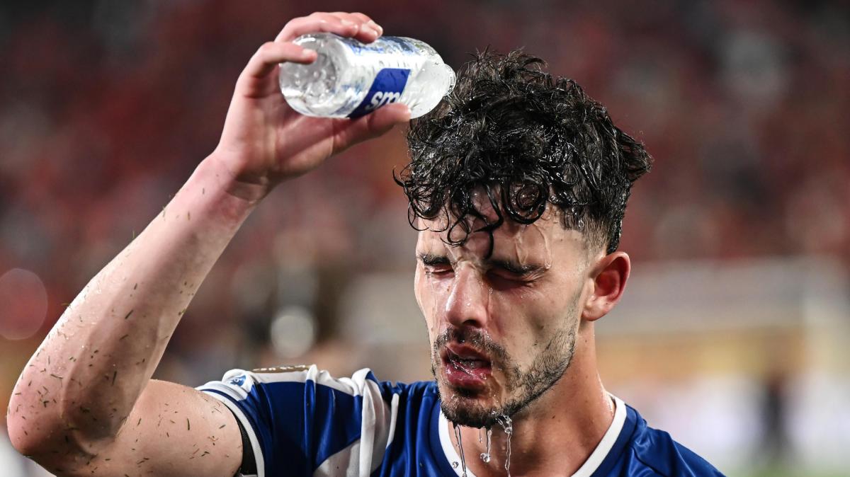 Ze Pedro: "Mina mi sta aiutando molto. Gliene sono grato"