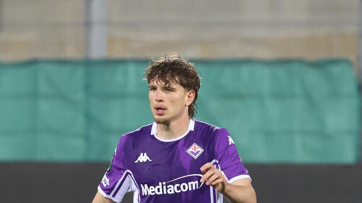 Immagine strip Primo Piano n.2