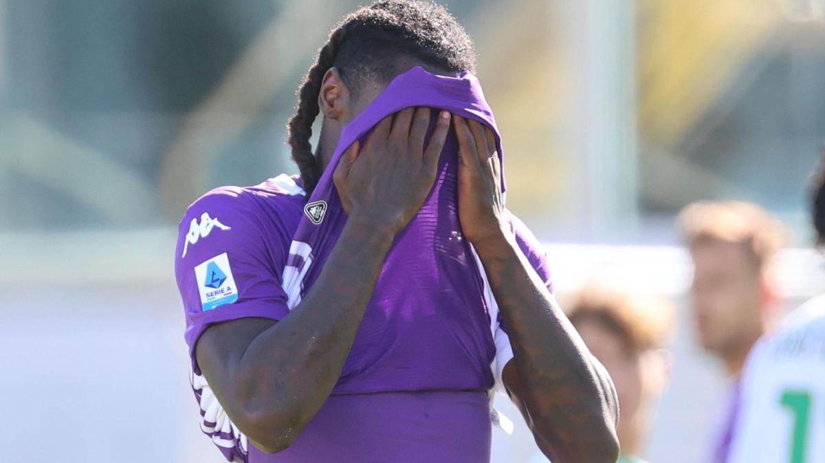 Immagine strip Primo Piano n.2