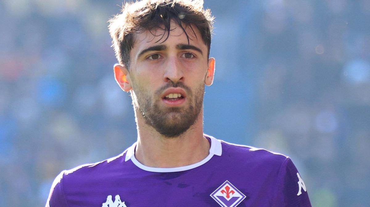 Immagine strip Primo Piano n.4