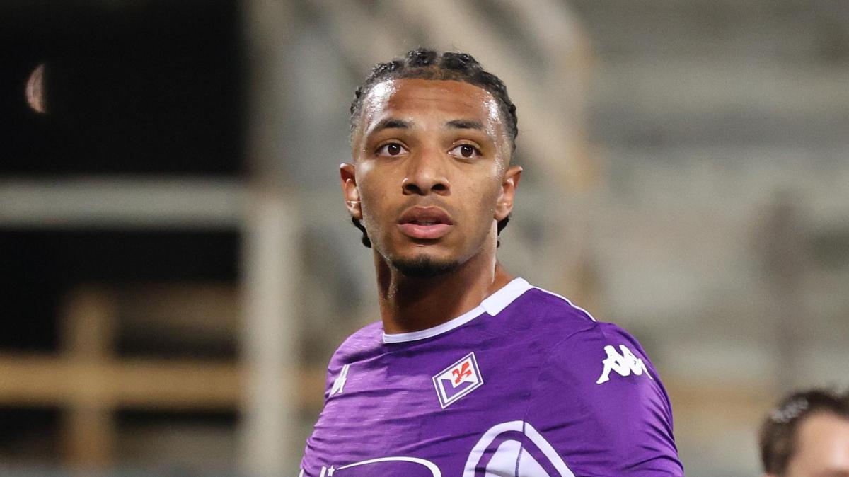 Immagine strip Primo Piano n.2