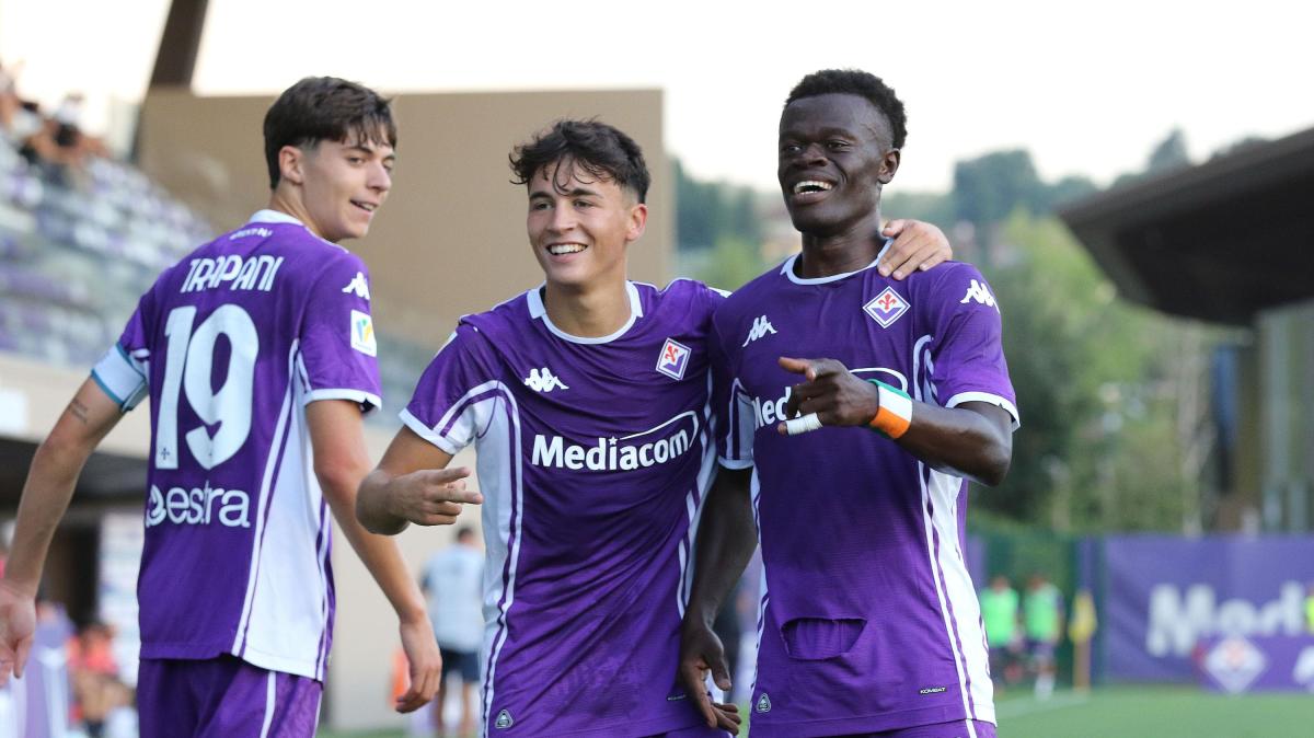 Immagine strip Primo Piano n.2