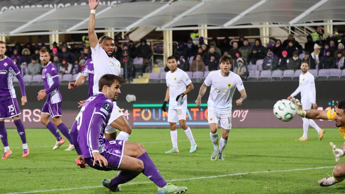 Immagine strip Primo Piano n.3