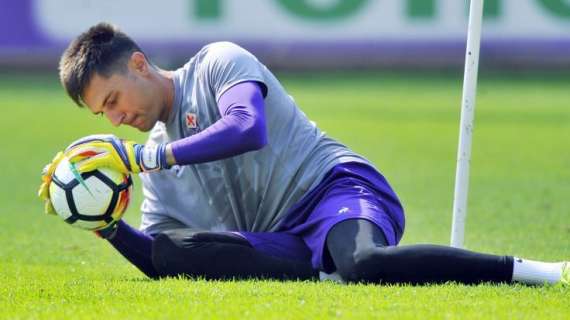 DALLA FRANCIA, Tata vicino al Nantes