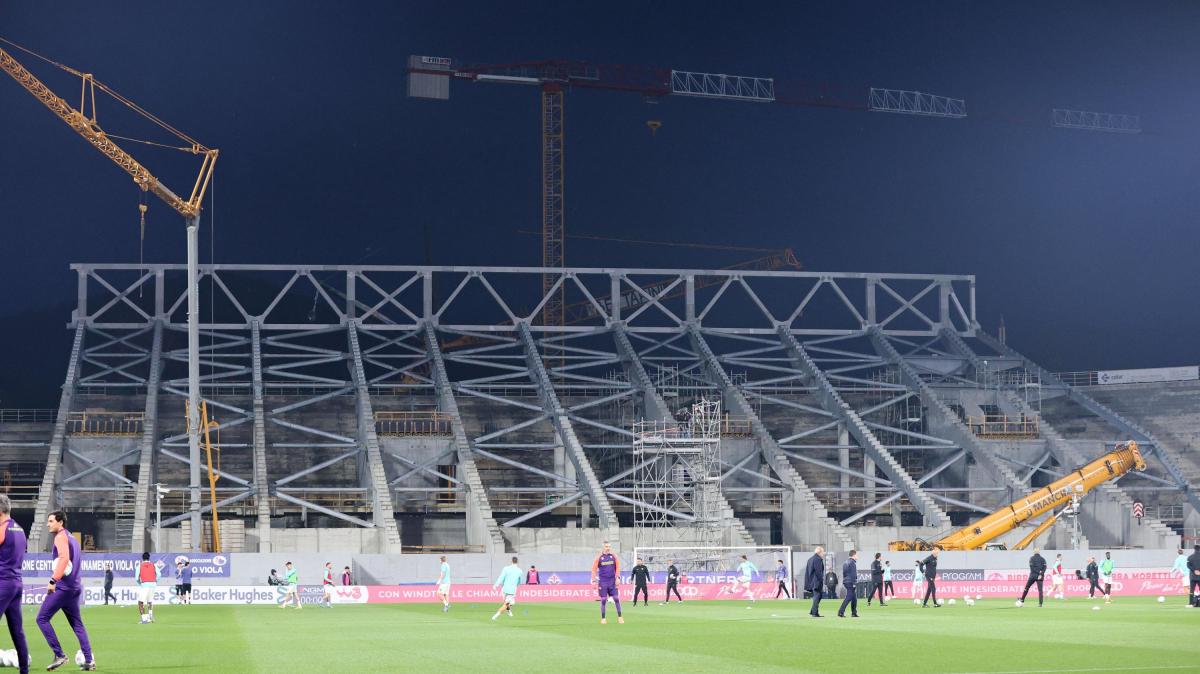 Immagine strip Primo Piano n.2