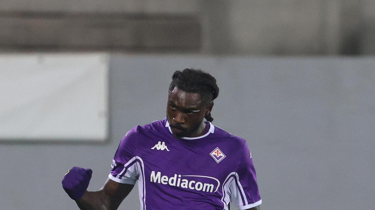 Immagine strip Primo Piano n.2