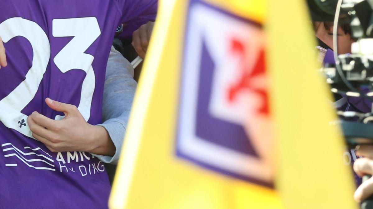 Immagine strip Primo Piano n.2