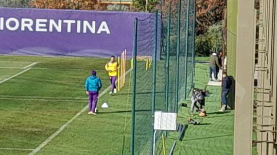 DAL VIOLA PARK, Per Bonaventura lavoro a parte