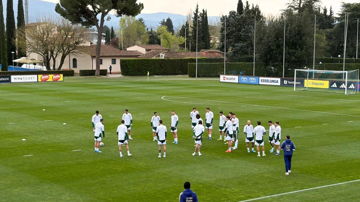 Immagine strip Primo Piano n.2