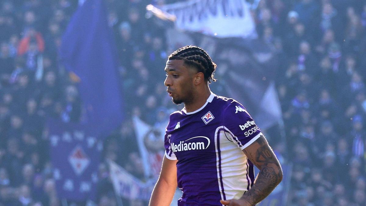 Immagine strip Primo Piano n.3