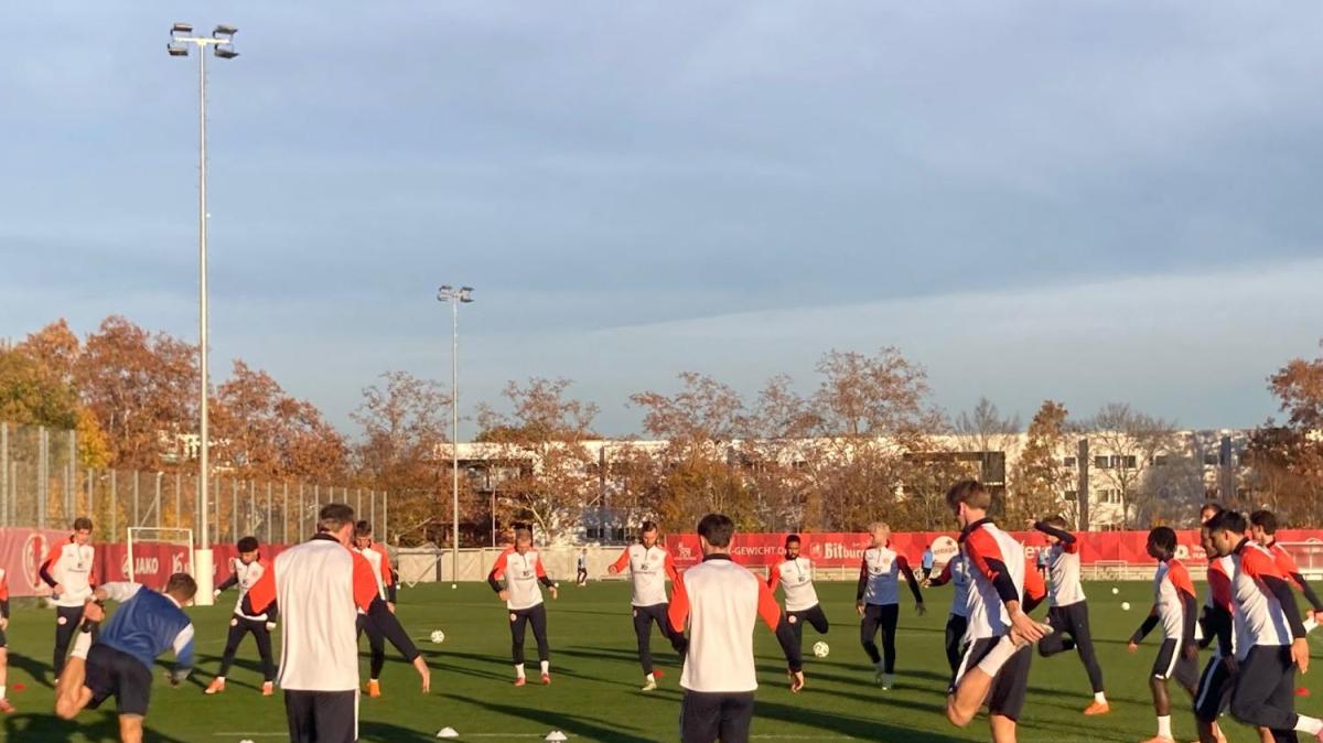 Per il Mainz la Fiorentina non è una priorità: le scelte del tecnico Henriksen