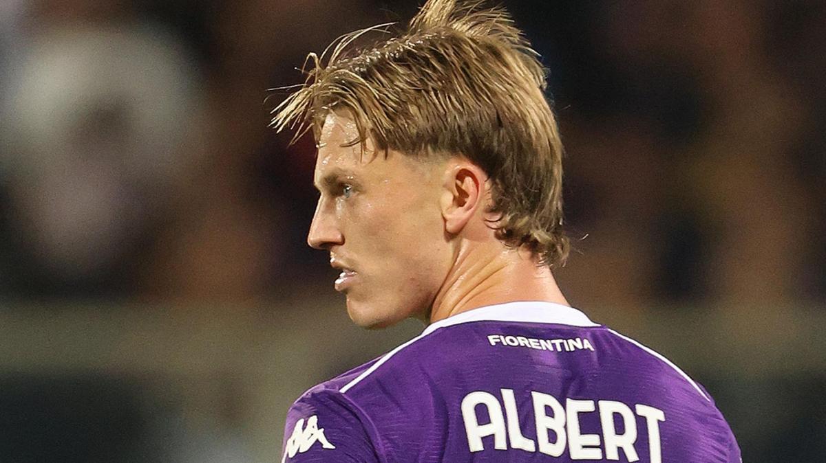 Immagine strip Primo Piano n.2