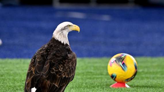 Lazio, l'ex falconiere Juan Bernabè è stato sfrattato dal centro sportivo di Formello