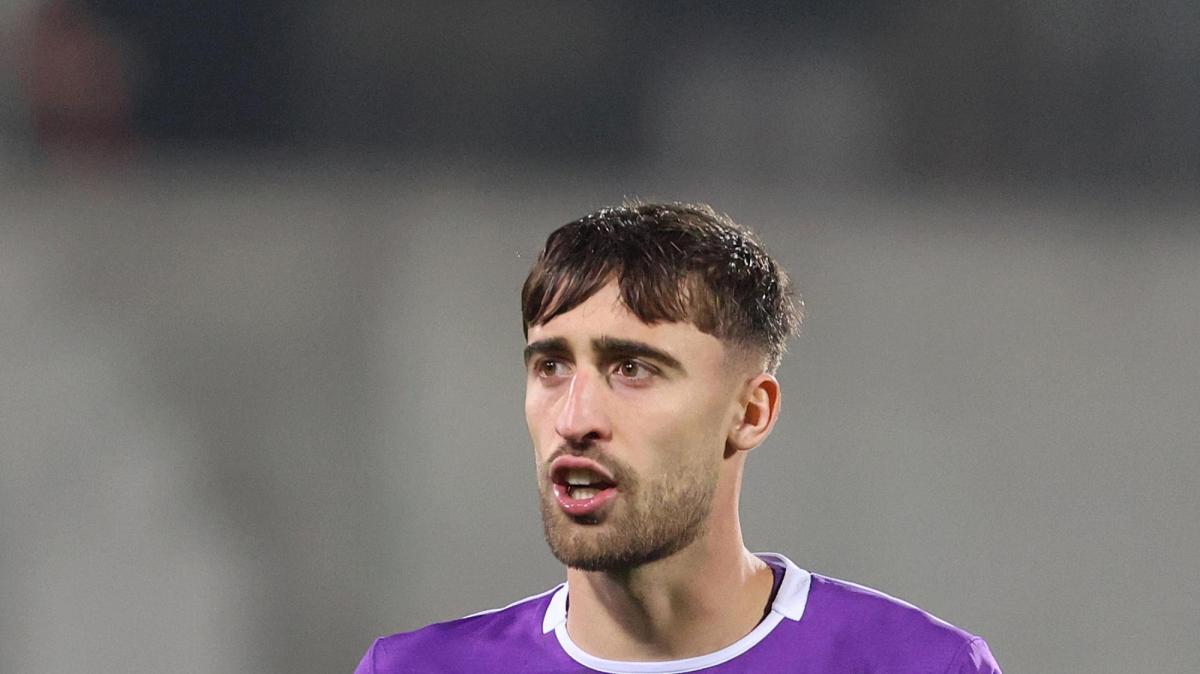 Immagine strip Primo Piano n.2