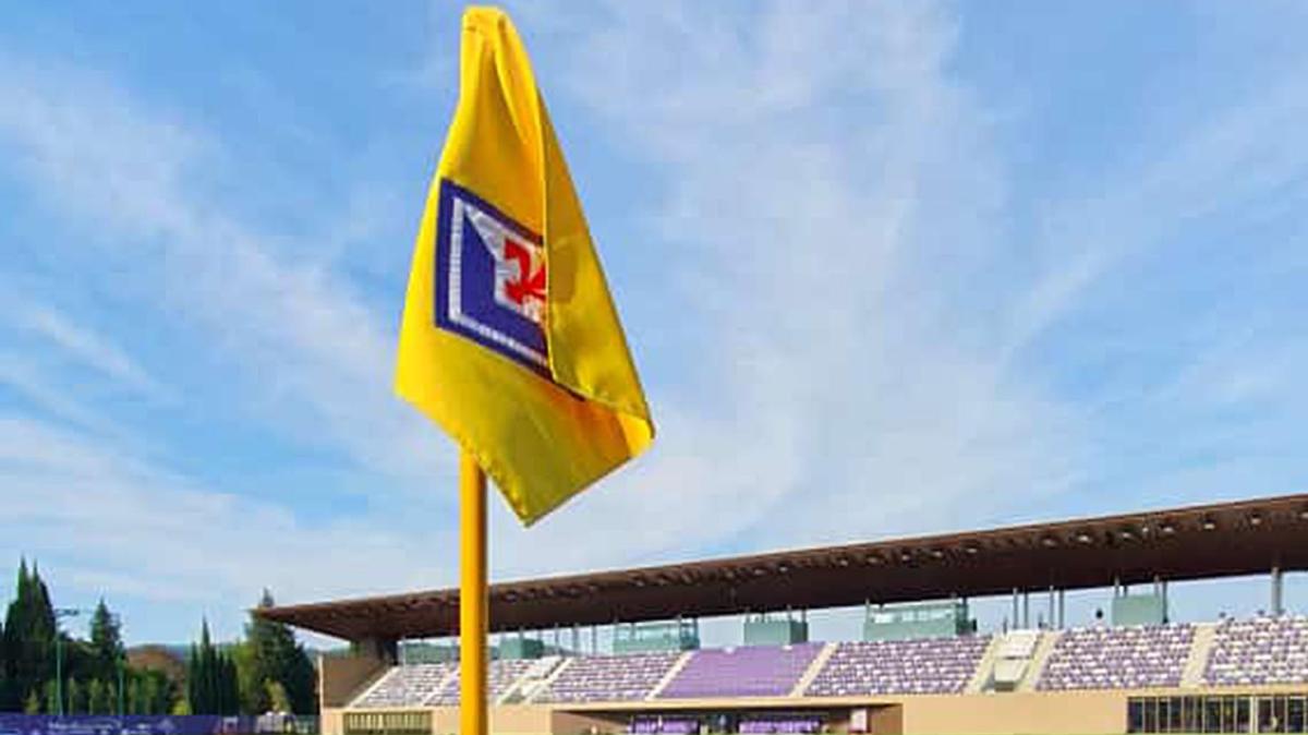 Immagine strip Primo Piano n.2