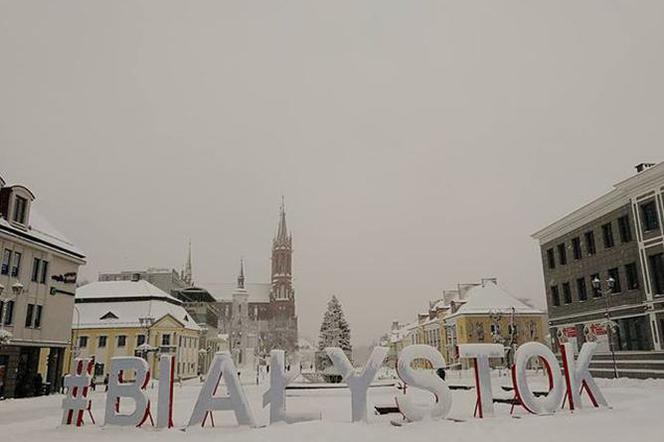 Immagine strip Copertina n.1