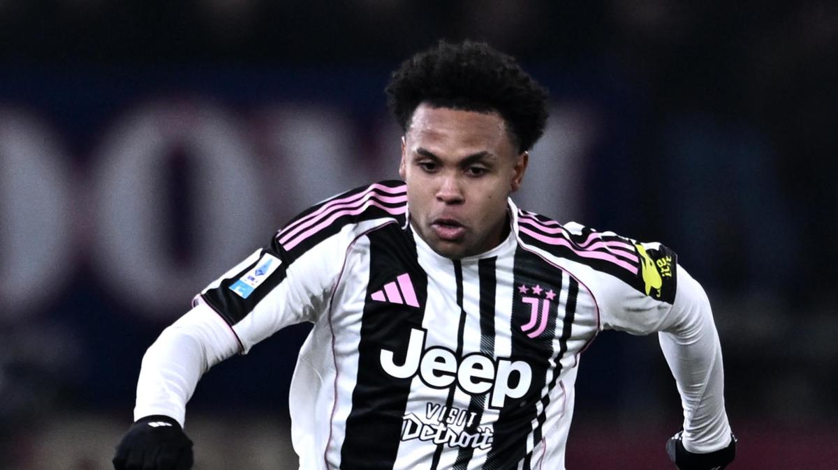 Immagine strip Primo Piano n.3