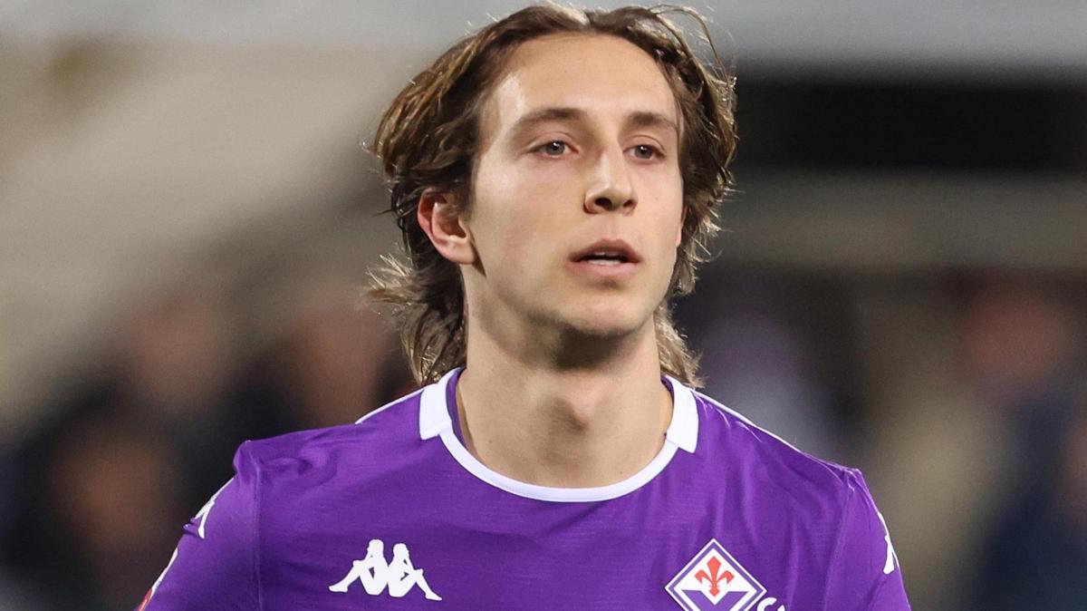 Immagine strip Notizie di FV n.4