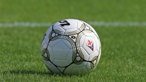 ALLIEVI NAZ, Rinviata per maltempo Torino-Fiorentina