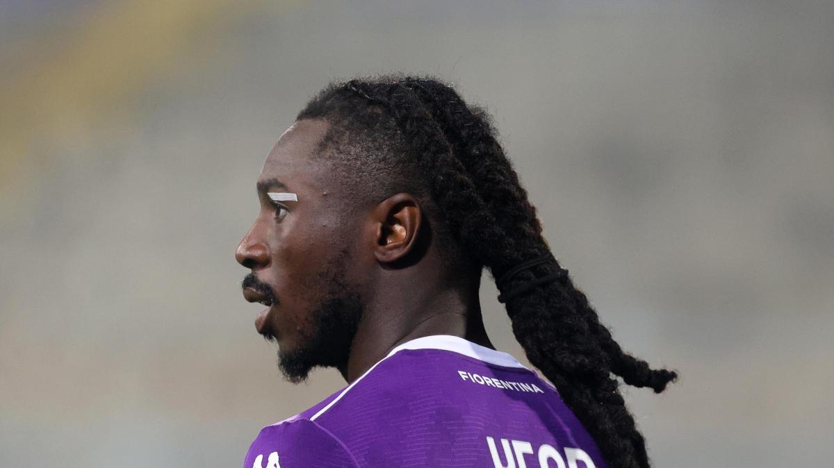 Immagine strip Primo Piano n.3