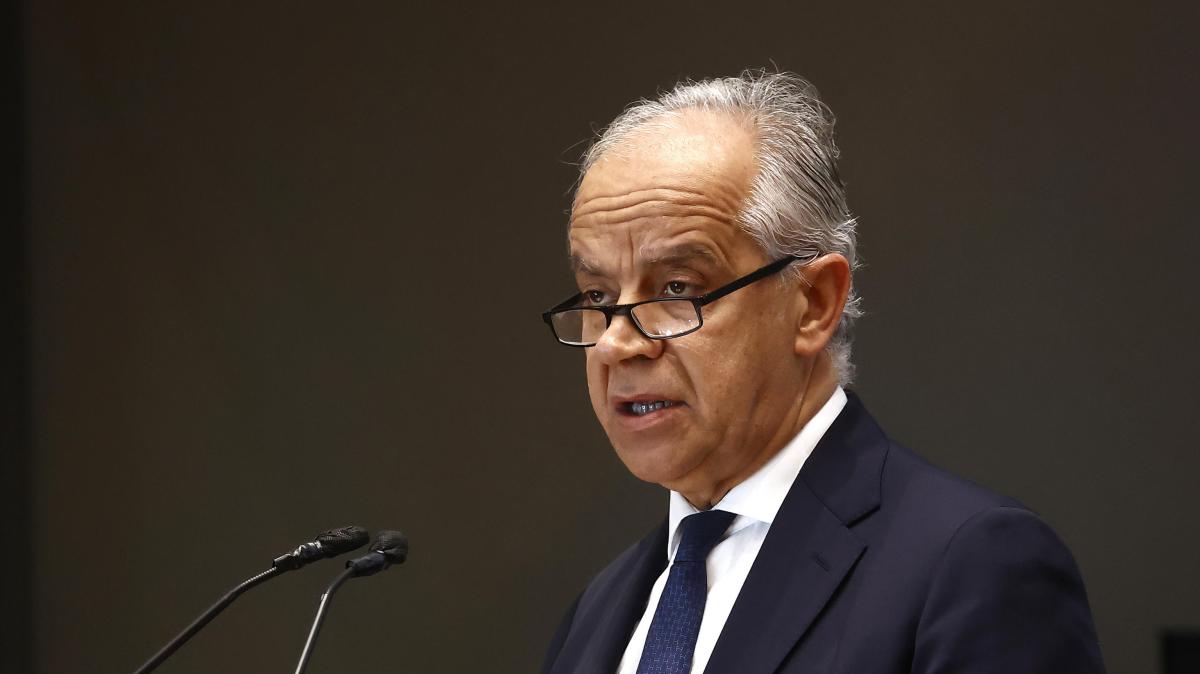 Serie A, tornano libere le trasferte per i tifosi di Verona e Pisa 