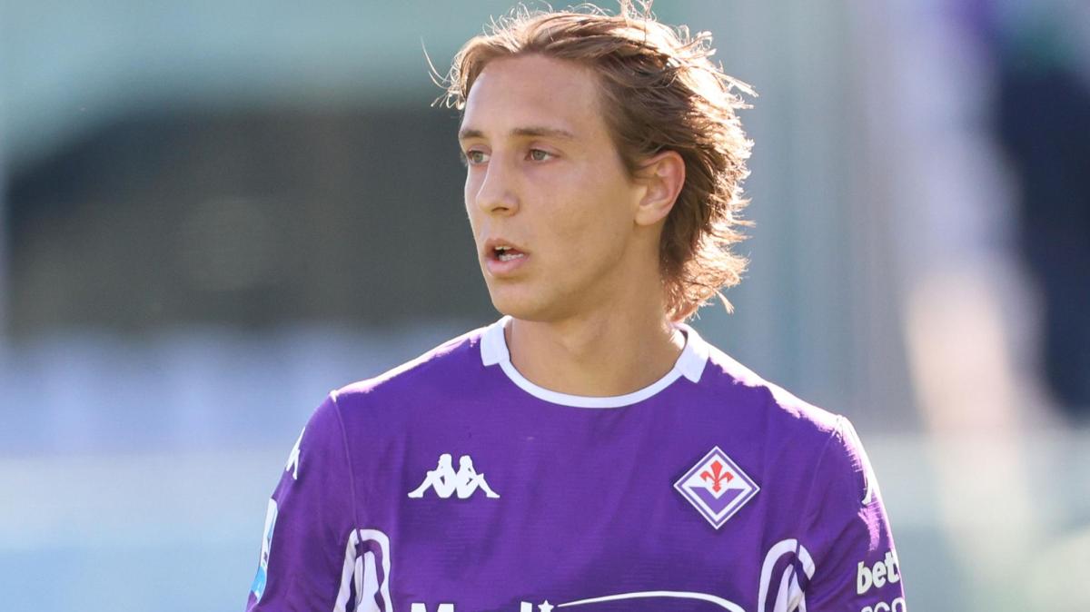 Immagine strip Primo Piano n.2