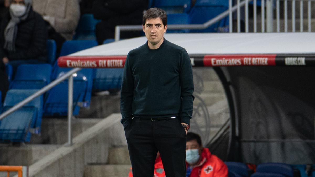 Immagine strip Primo Piano n.3