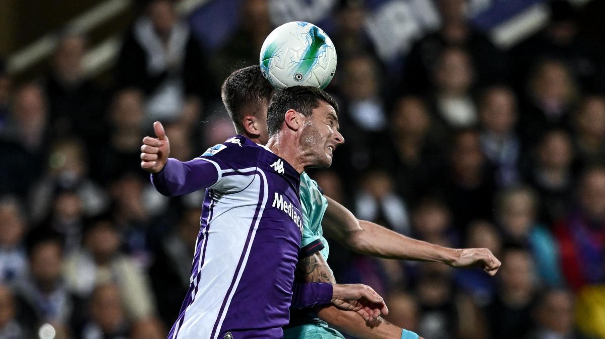 Immagine strip Primo Piano n.3